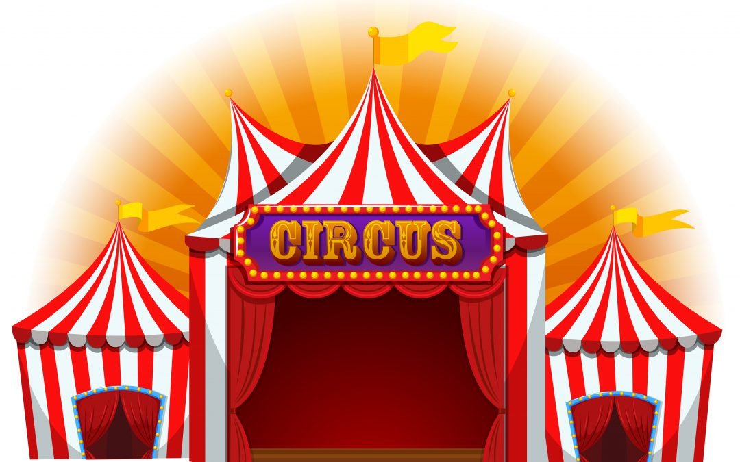 Zomerplanning-in-De-Schakel #circus